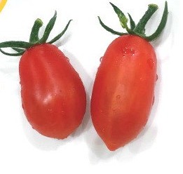 シュガープラム